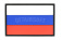 Патчи TeamZlo Флаг России PVC 5х7,5 см BK (TZ0290BK) фото 2