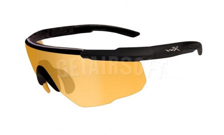 Стрелковые очки Wiley X SABER ADVANCED 301 (SP72652) фото